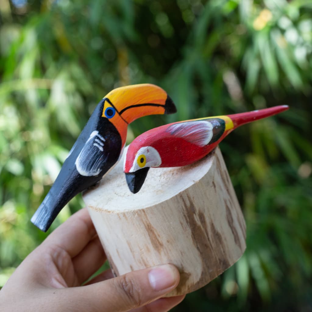 2 passarinho no toco arara tucano saira variados decoração vaso jardim