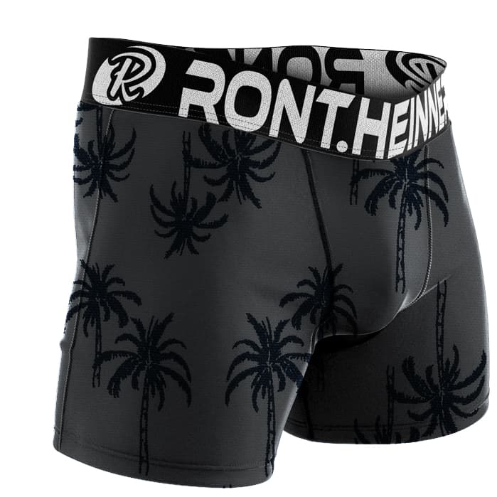 Kit 20 Cueca Box Boxer Adulto Lisa RONTHEINNER Original Microfibra