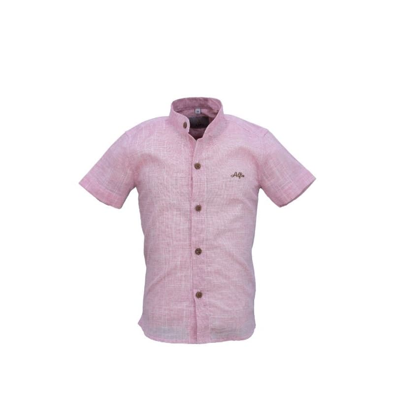 Camisa Manga Curta Infantil e Juvenil Gola Pade Alfa (1563)