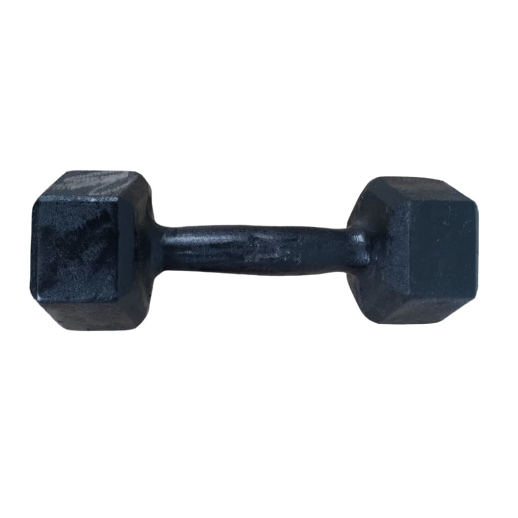 Halter Sextavado Pintado 4kgs Musculação Academia Em Casa 1Fit