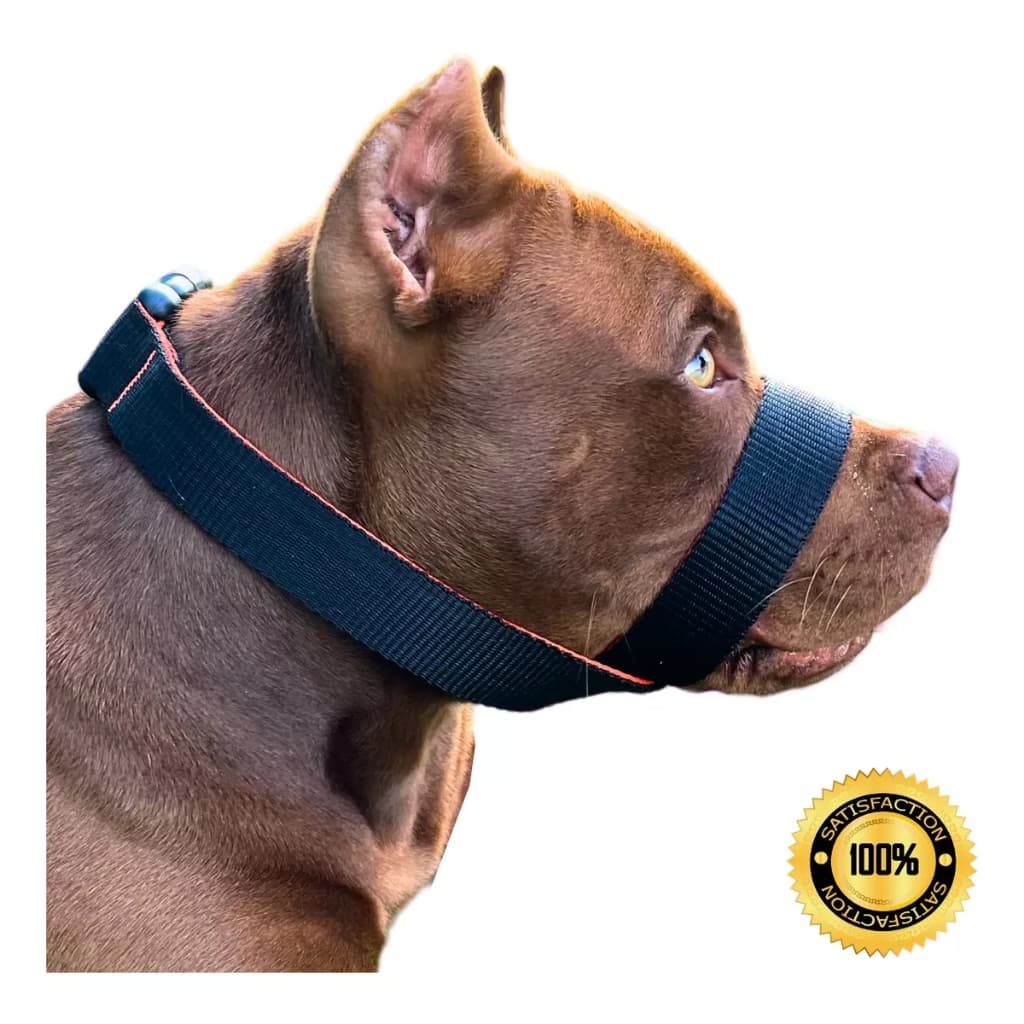 Focinheira Forte e Ergonômica Para Cães Grandes – Evite Mordidas e Proteja Seu Pet