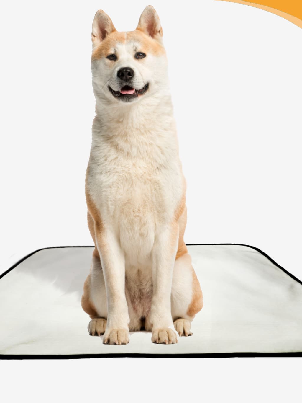 Tapete Higiênico Lavável, reutilizável, lavável, durável. Tapete para Animais de Estimação, 1 unidad