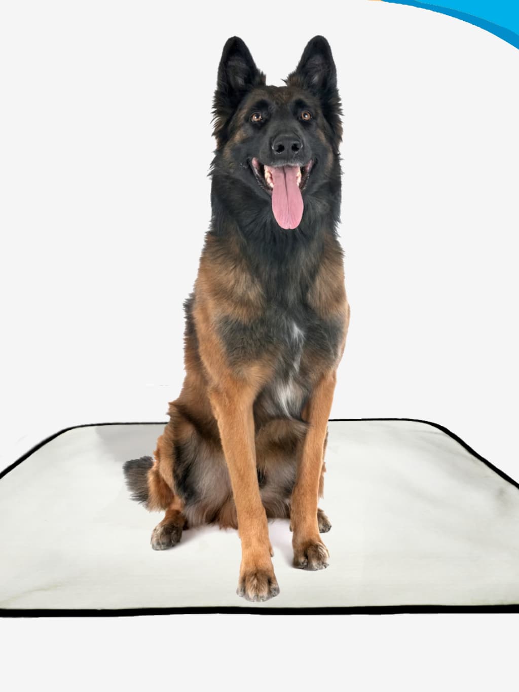 Tapete Higiênico Lavável para cachorro, Tapete para animais de estimação, Tapete de piso para pets