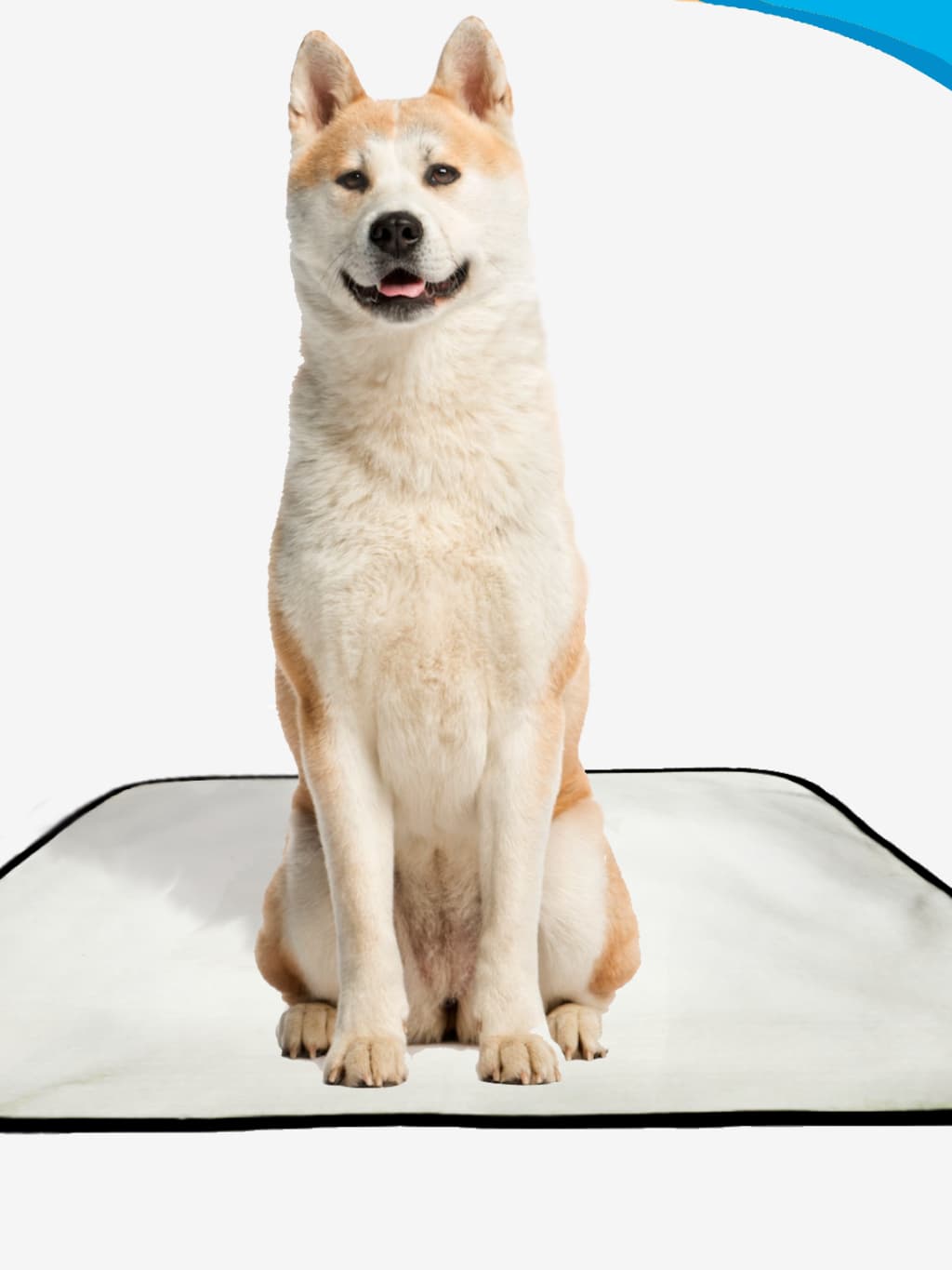 Tapete Higiênico Lavável, tapete para pets, Tapete para cachorro, Tapete de piso para animais, 1 uni