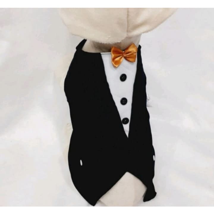Roupa pet, fantasia pet Terno casamento pet, cachorro e gatos
