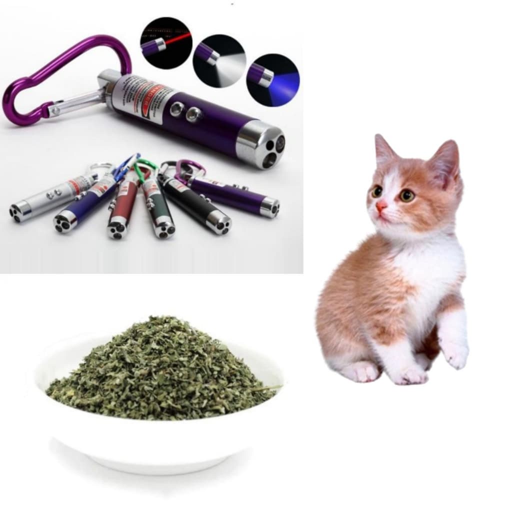 Kit Chaveiro Laser Brincando com os Gatos mais Catnip Erva do Gato 5 Gramas