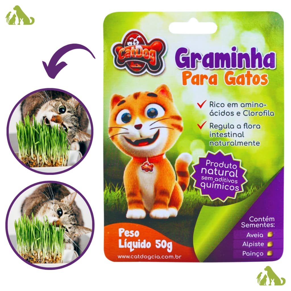 Graminha Para Gatos Grama Eliminação Pelos Digestão Saudável