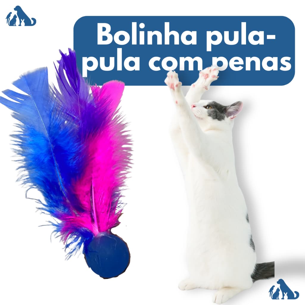 Bolinha / Pula Pula Com Penas Para Gatos - 10 Peças