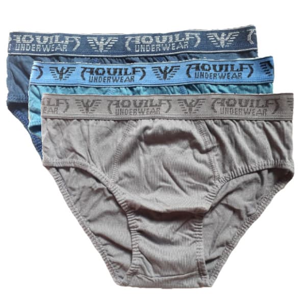 Cueca Masculina Tradicional Kit com 6 Cuecas Slip 100% Algodão Adulto