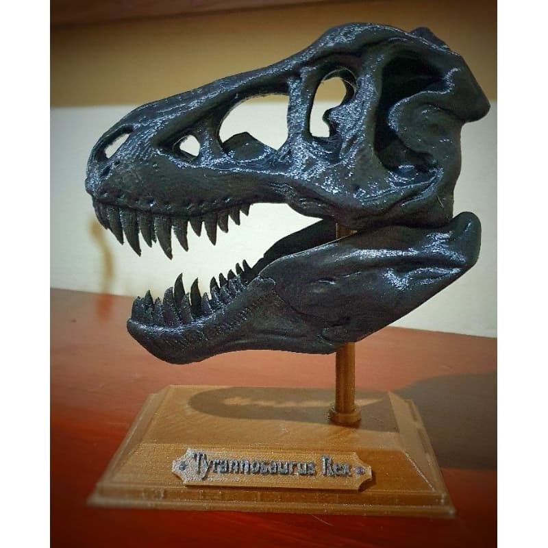 Crânio de Tiranossauro Rex 3D TREX – Réplica Decorativa Realista | Impressão 3D | Decoração Geek e Científica