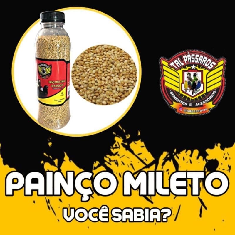 Painço Milhetinho do Nordeste 350gr Tal pássaros.