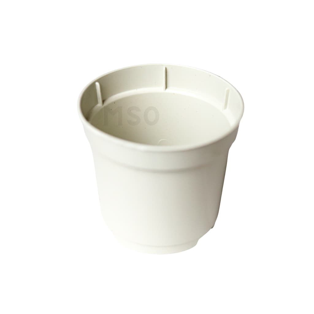 50 Mini Vasos Pote 6 Brancos de 80 ml Para Mudas, Suculentas, Festas e Casamentos