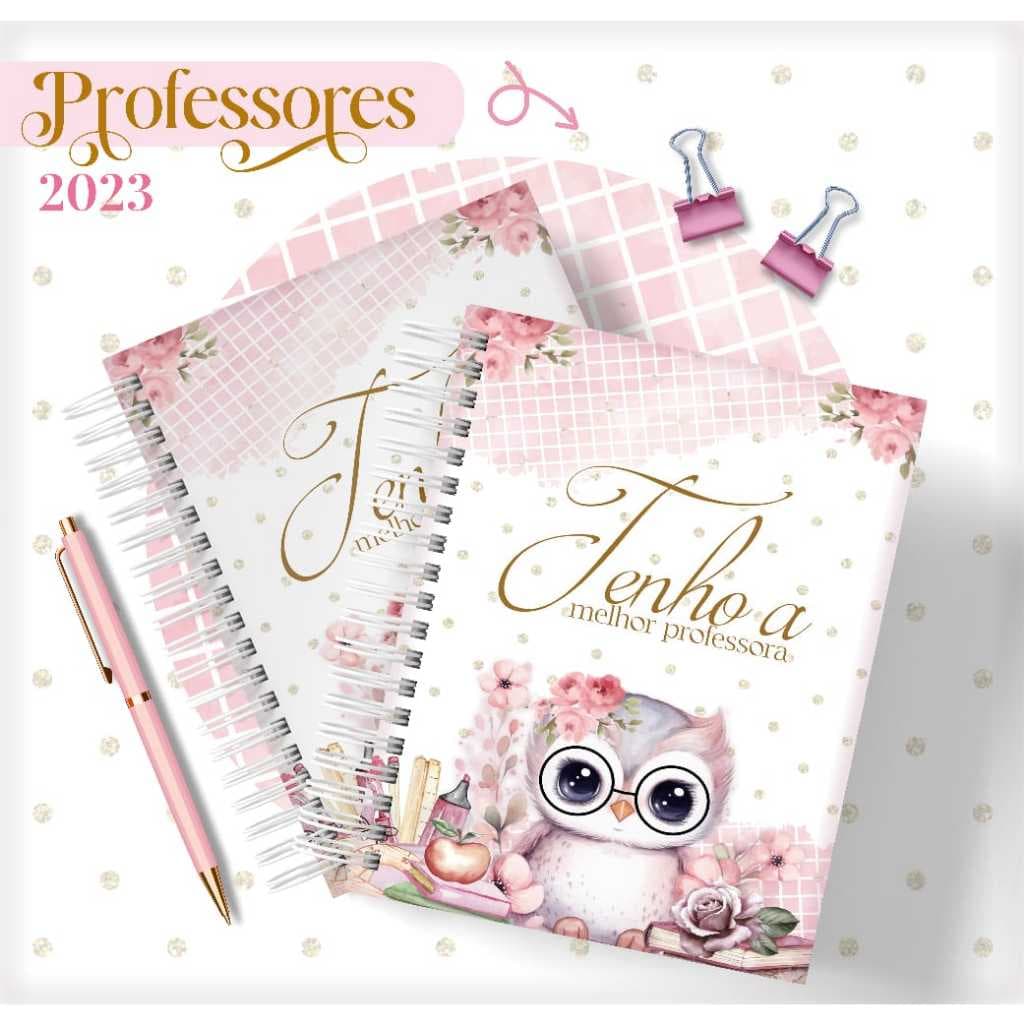 Planner Planejador Do Professor 2026