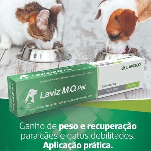 Laviz MO Pet Lavizoo 30g Hipercalorico Animais Debilitados