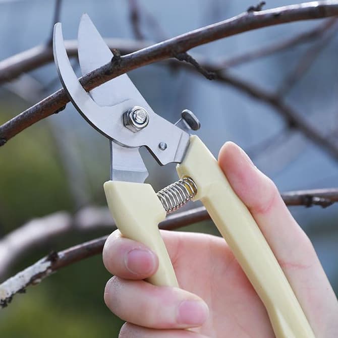 Tesoura 17,5cm Alicate De Poda E Cortar Cabo De Plástico Ponta De Metal Para Jardim Jardinagem Plantas