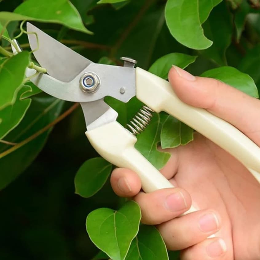 Tesoura 17,5cm Alicate De Poda E Cortar Cabo De Plástico Ponta De Metal Para Jardim Jardinagem Multiuso Universal