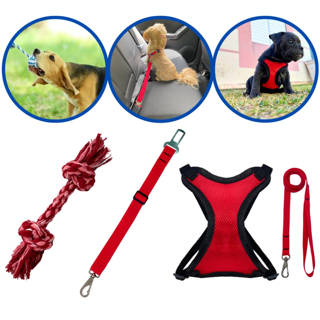 Kit coleira peitoral colete +  cinto de segurança pet + osso mordedor limpeza bucal cães e gatos