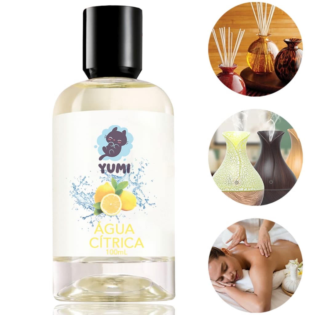 Essência Concentrada 100ml Para Aromatizador Umidificador Elétrico Super Forte Água Cítrica