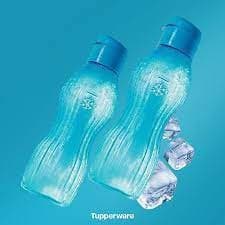 Eco Tupper Garrafa de Agua Freezer Tampa 750 ml - Original Tupperware