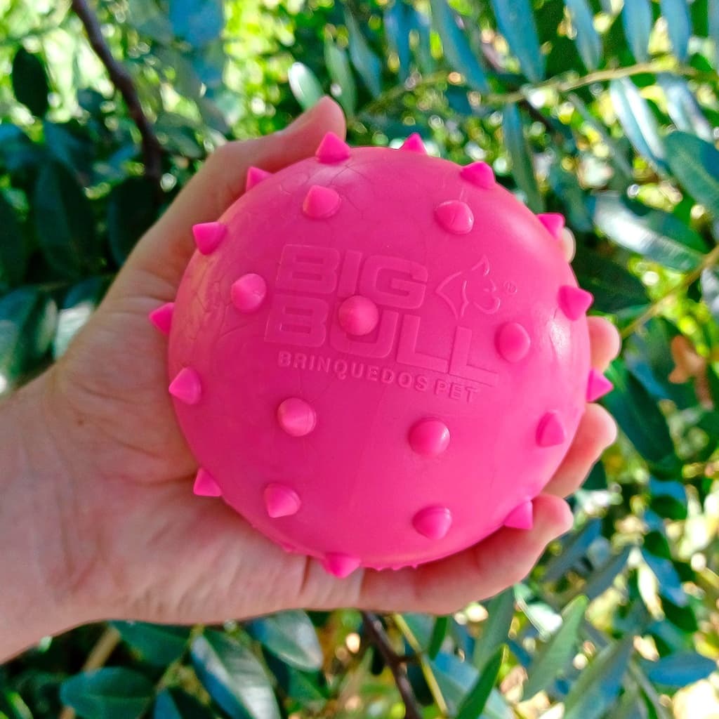 Brinquedo bolinha Pet Mordedor Maciço Bola Cravo Para Cachorro
