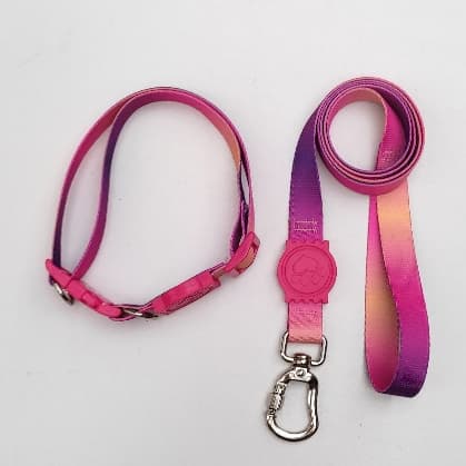 Coleira com guia para Cachorro - Roxo com Laranja