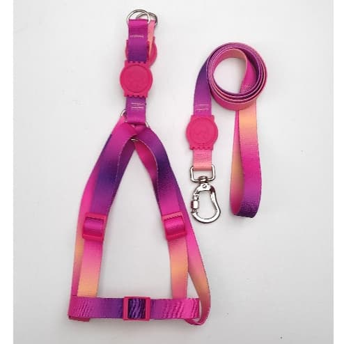 Coleira Peitoral Americano com roxo com laranja Guia para Cachorro - LUXO
