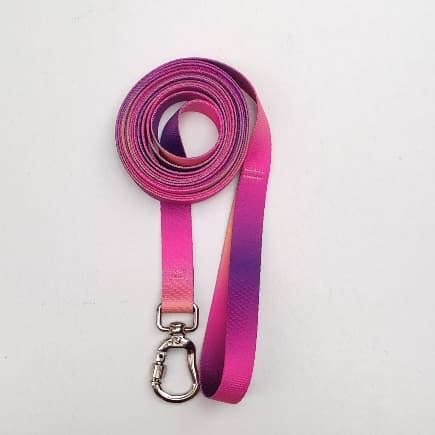 Guia Longa para cachorro 2 , 3 e 5 mt - Roxo com Laranja