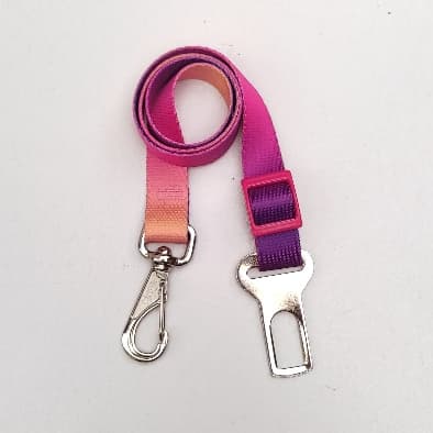 Cinto de segurança Para Cachorro - Roxo com Laranja
