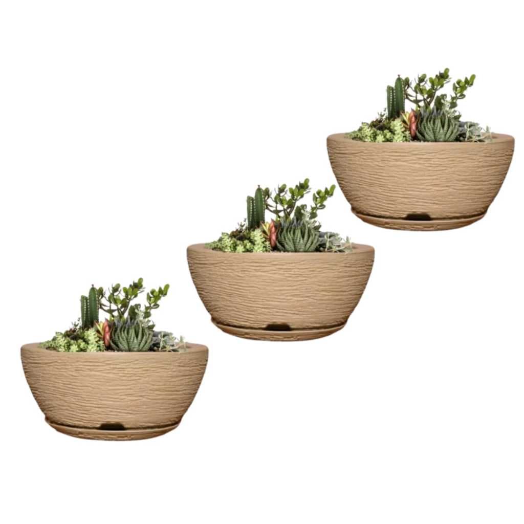 Kit  3 Vasos para Plantas  Bacia Texturizado Polietileno Cactos e Suculentas