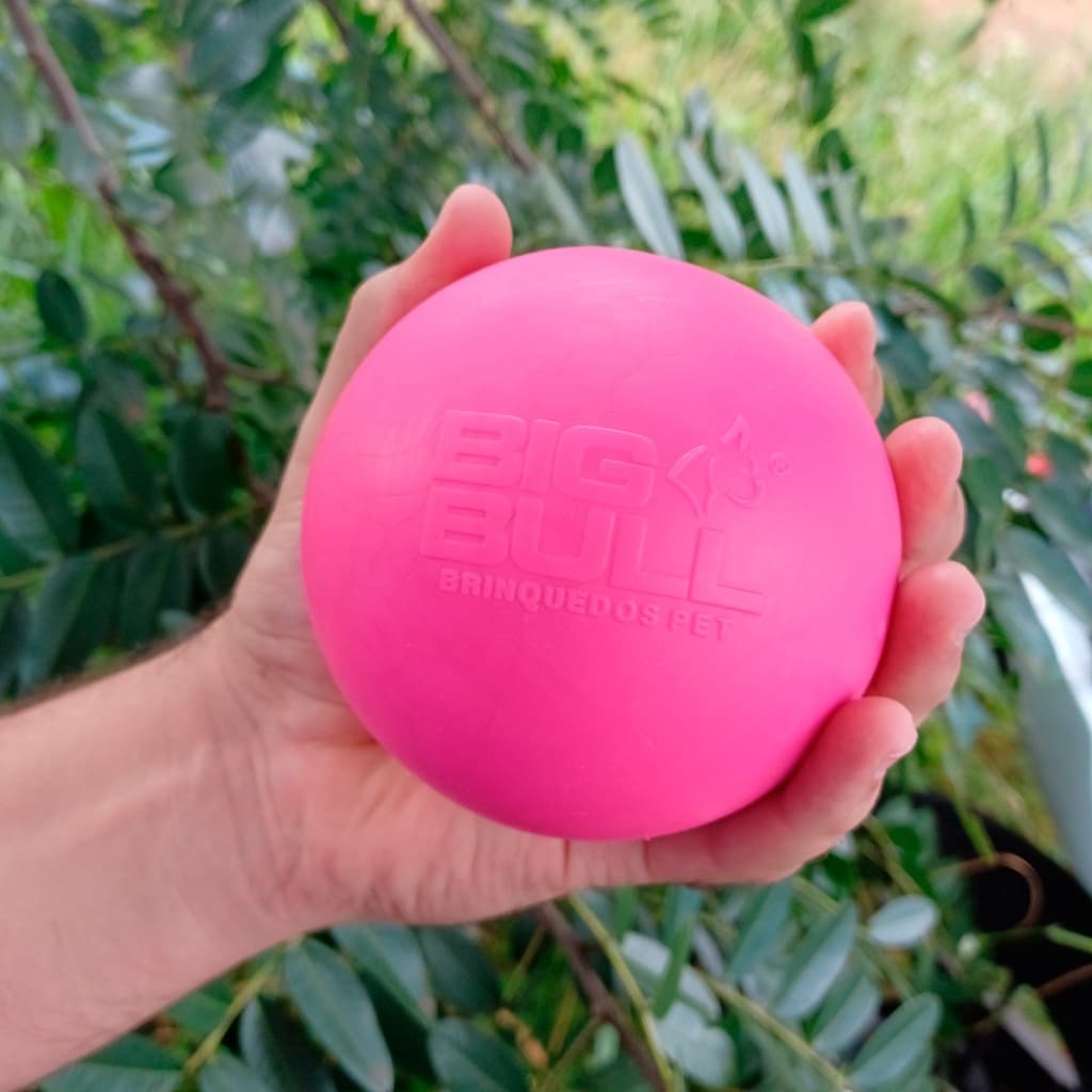 Brinquedo Bolinha Pet Mordedor Maciço Bola Lisa Para Cachorro Pula Pula