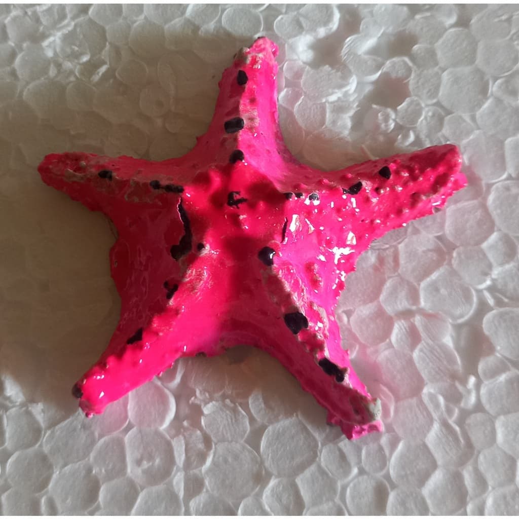 Enfeite Mini Estrelinha para Aquário