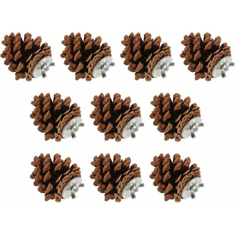 Pinha para agapornis,calopsitas e periquitos 10 pinhas