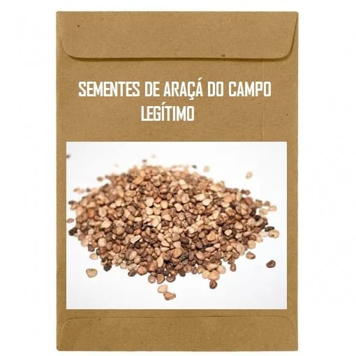 12 Sementes Do Real Araçá Do Campo Para Plantar No Vaso Quintal - sementes para cultivar mudas