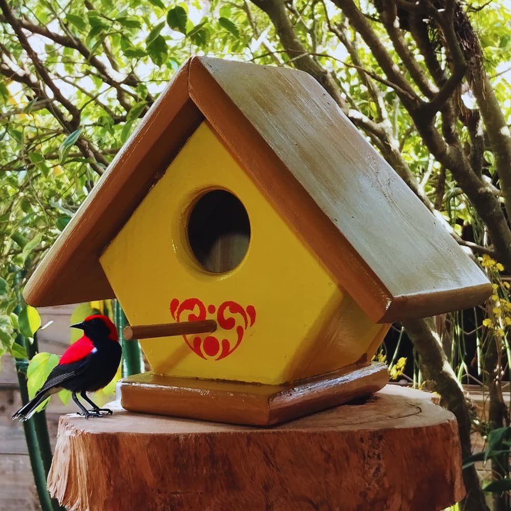 Casinha de Passarinho artesanal de madeira envernizada - casa de passarinho