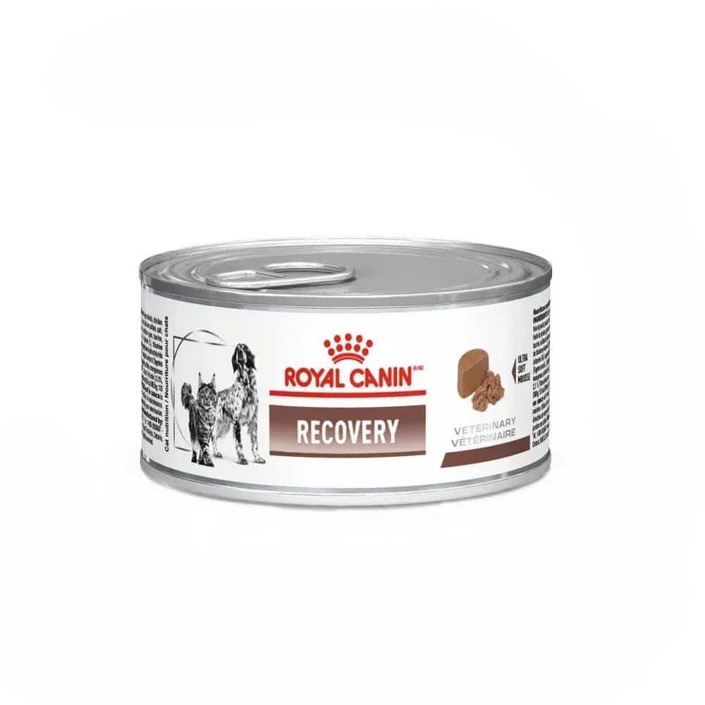 Ração Úmida Lata Royal Canin Veterinary Diet Recovery Cães e Gatos Adultos 195g