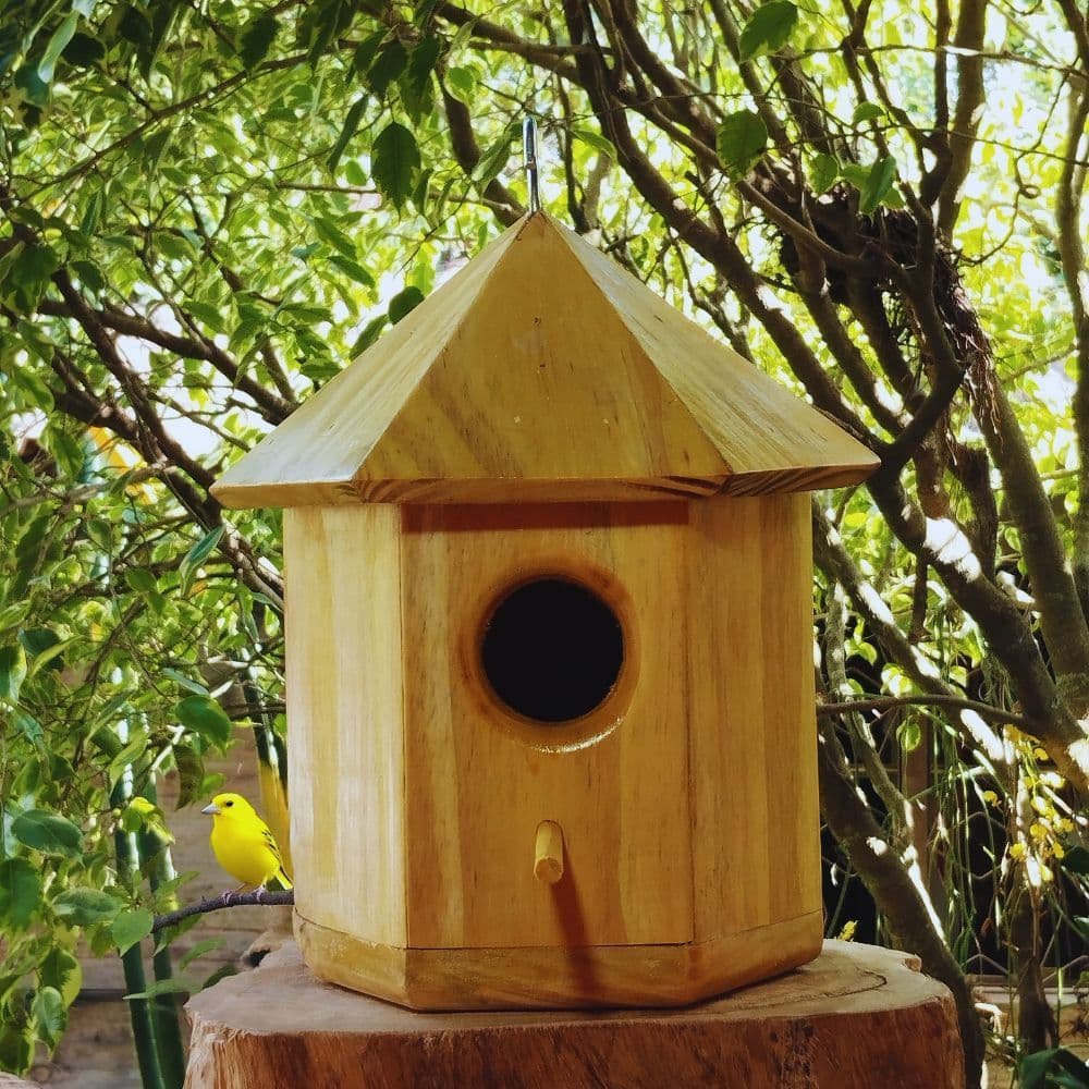 Casinha de Passarinho artesanal de madeira envernizada - casa de passarinho