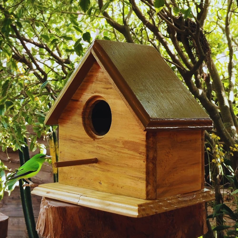 Casinha de Passarinho artesanal de madeira envernizada - casa de passarinho
