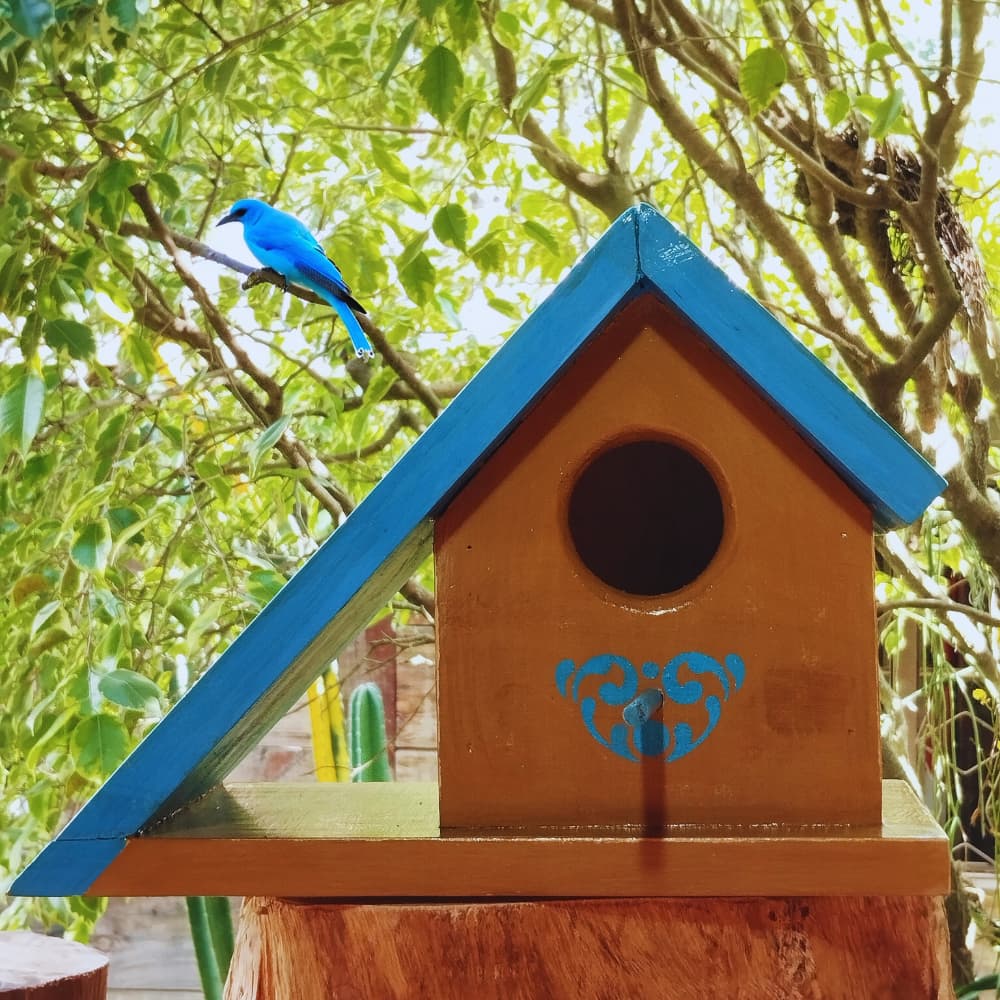 Casinha de Passarinho artesanal de madeira envernizada - casa de passarinho
