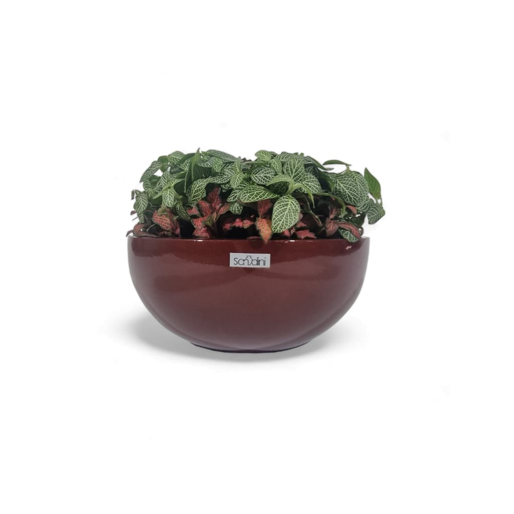 Vaso de mesa 25cm Bacia PP em Fibra de Vidro