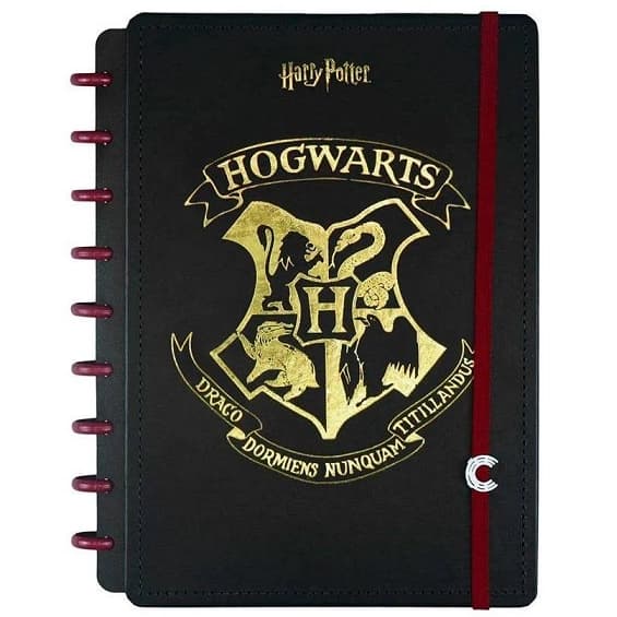 Caderno Inteligente 80f Médio By Harry Potter Novitate