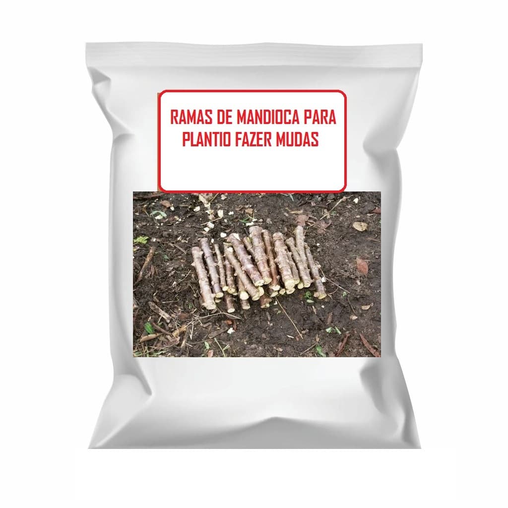 10 ramas de mandioca ( aipim ) para fazer muda