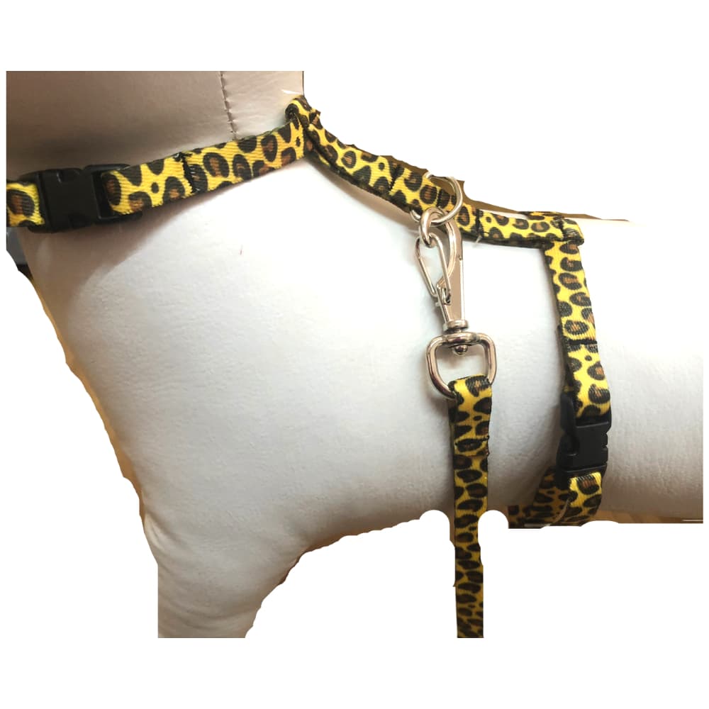 Conjunto Peitoral Pra Gato Coelho Ajustável Com Guia Longa