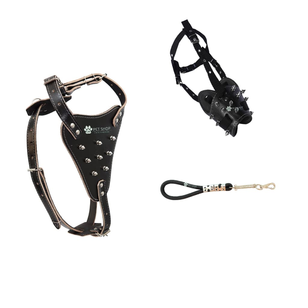 Kit Para Cachorro Peitoral De Couro Spike Focinheira Ajustável Com Guia Forte