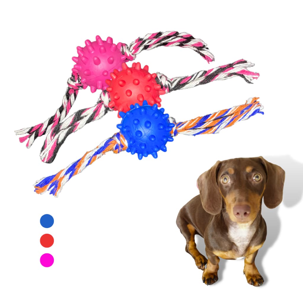 Bolinha Brinquedo Maciça Mamona Bone para Cachorro Pet Sortido 45Mm