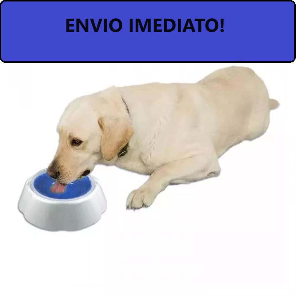 Tigela Bebedouro Pet Mantem Àgua Fria 470 Ml Pet-452 Western
