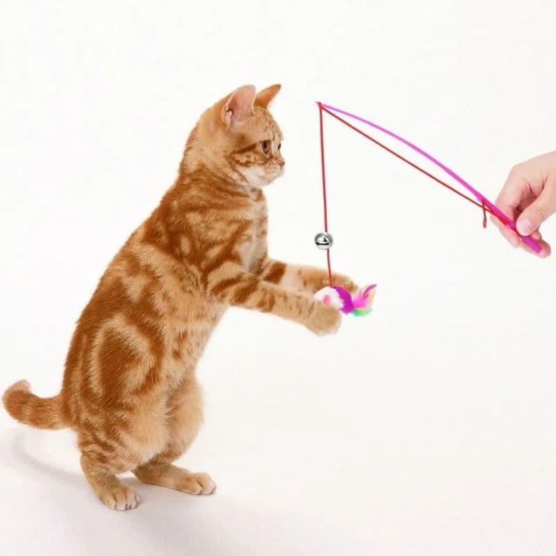 vara de pesca para Gato, brinquedo para gato varinha com Rato divertido ratinho de pelúcia de Gato 30cm pet shop Catfish
