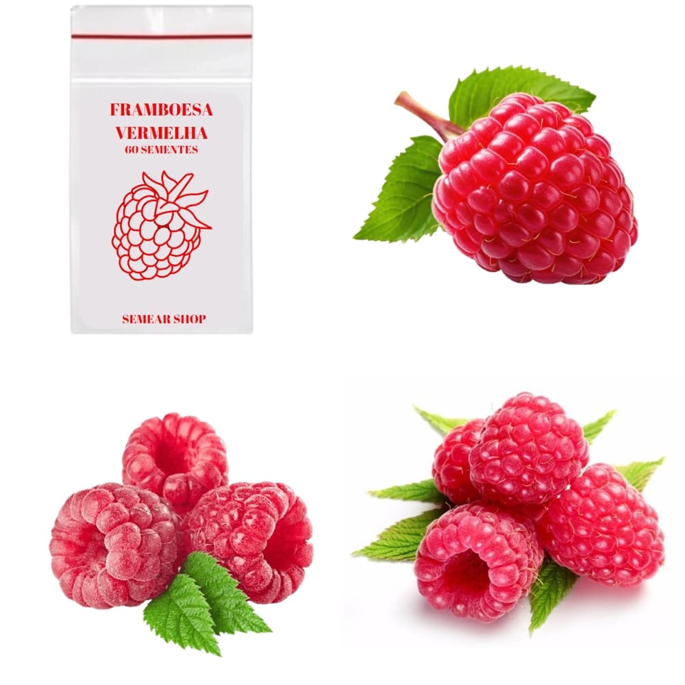 60 Sementes de Framboesa Vermelha - Monte sua Horta!
