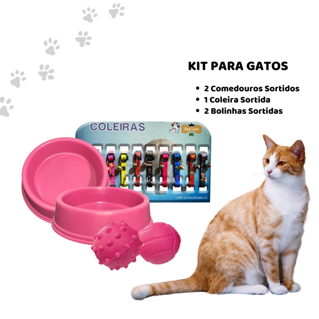 Kit Conjunto Produtos Pet para Gatos Comedouro Brinquedo Coleira Sortidos