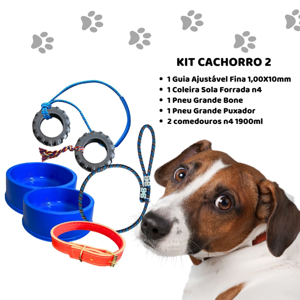 Kit Conjunto para Cães Cachorro Adulto Brinquedo Comedouro Coleira Guia Sortido