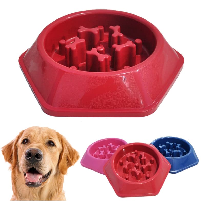 Comedouro Educativo Lento Interativo Pet 650ml para Cachorro Cães